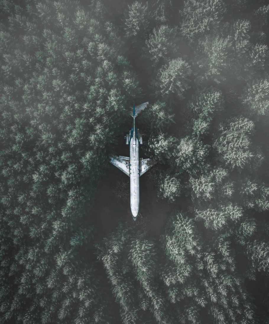 aeroplane in a forest